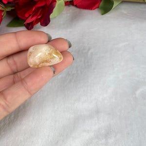 May include: A polished, golden-yellow citrine gemstone, held in a hand. The stone has a smooth, rounded shape and a translucent quality. Red flowers and green leaves are in the background, adding a touch of color.