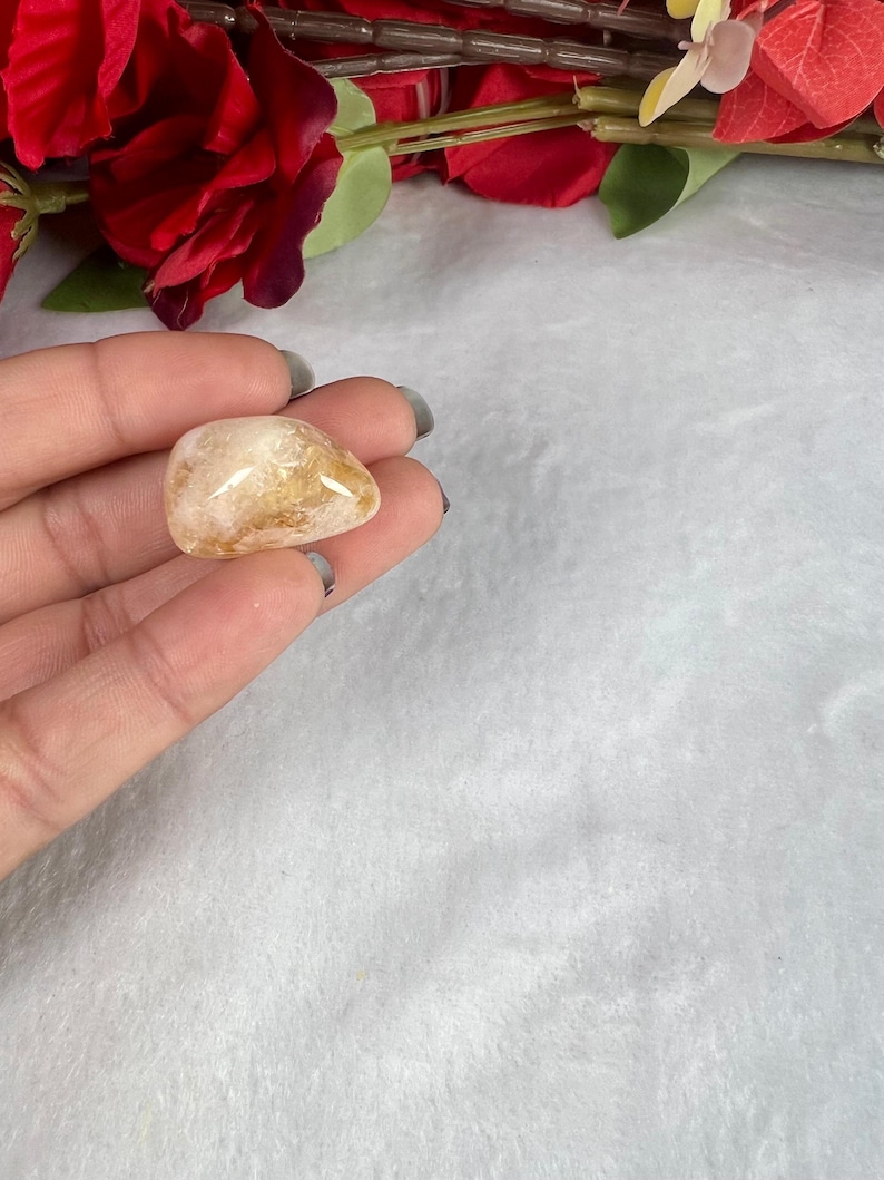 May include: A polished, golden-yellow citrine gemstone, held in a hand. The stone has a smooth, rounded shape and a translucent quality. Red flowers and green leaves are in the background, adding a touch of color.