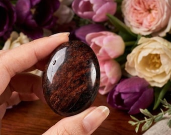 Puede incluir: Una piedra ovalada pulida y lisa que presenta un patrón jaspeado en color caoba oscuro y negro con una superficie brillante y reflectante. La piedra muestra vetas naturales de color marrón oscuro y negro en su forma sólida y compacta.