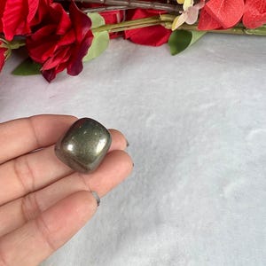 May include: A polished, metallic pyrite stone, held in a hand, with a reflective surface. The stone is a dark, muted gold color. Red roses and greenery are in the background.