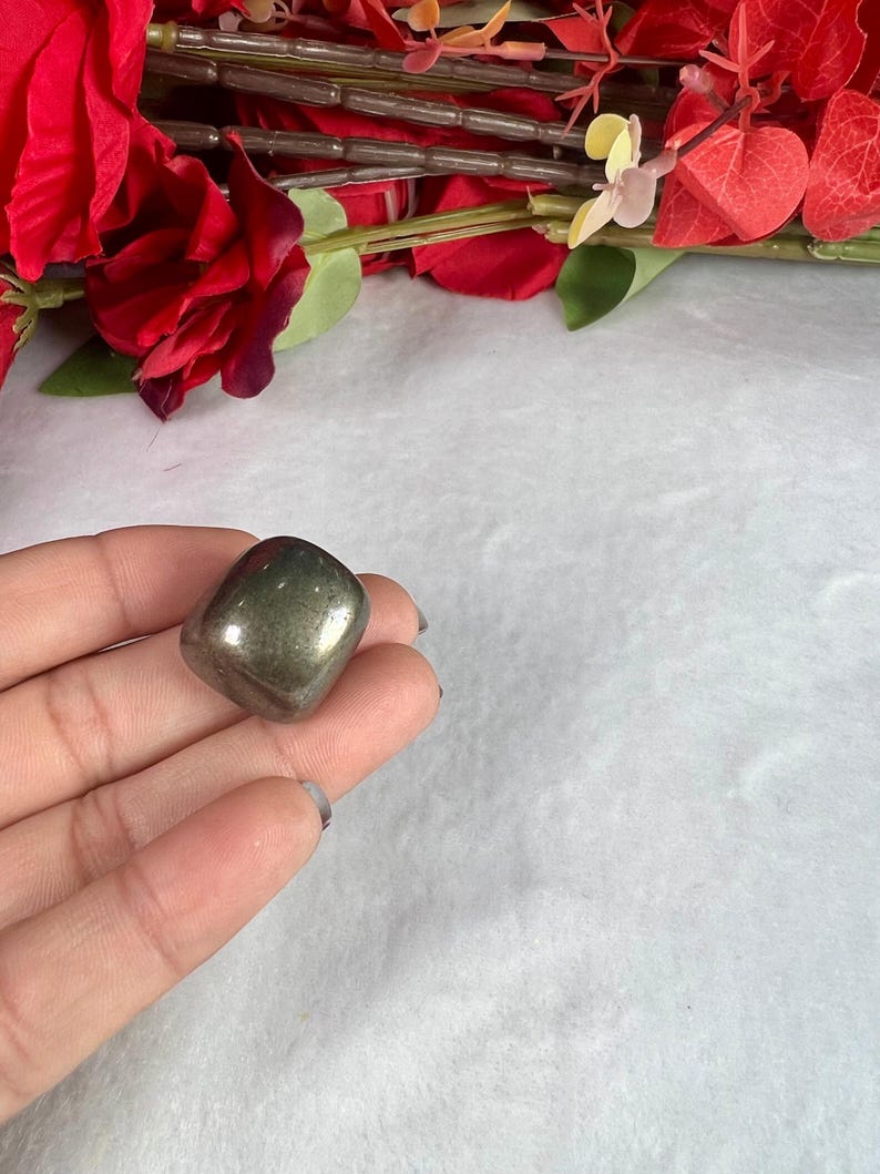 May include: A polished, metallic pyrite stone, held in a hand, with a reflective surface. The stone is a dark, muted gold color. Red roses and greenery are in the background.
