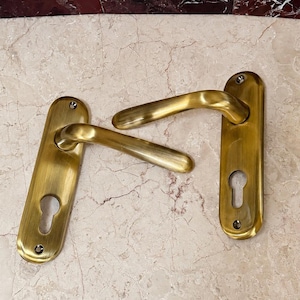 May include: Two matching door handles with a brushed brass finish. Each handle features an elongated, rounded backplate with two screw holes and a keyhole cutout at the bottom. The lever is curved and smooth, extending from the center of the plate.