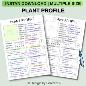 以下が含まれることがあります： キャベツの栽培に関する詳細情報が記載された、2つの植物プロファイル印刷物。文書には、植え付け、手入れ、トラブルシューティングに関するセクションが含まれており、植え付け深さは1.27 cmです。上部のバナーには「INSTANT DOWNLOAD | MULTIPLE SIZE」と書かれています。