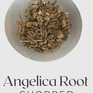 Angelica Root – Traditional Hoodoo & Folk Magic Root for Protection, Healing, and Strength
