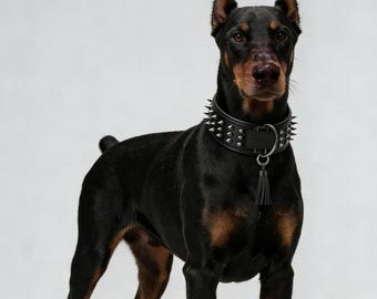 Bestia™「ビッグボーイ」本革製犬用首輪。スクリュースパイクとソフト