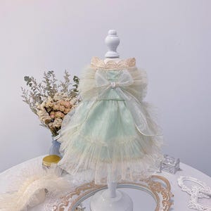 mint green dog dress Fashion Simple Mint Green Pet Dog Clothes Fine... From Haven1, Rs.768.75