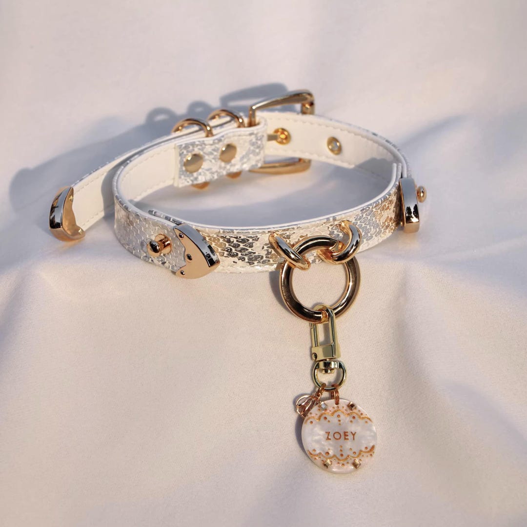 Adjustable Snake-patterned Collar and Leash Set, Complete With a