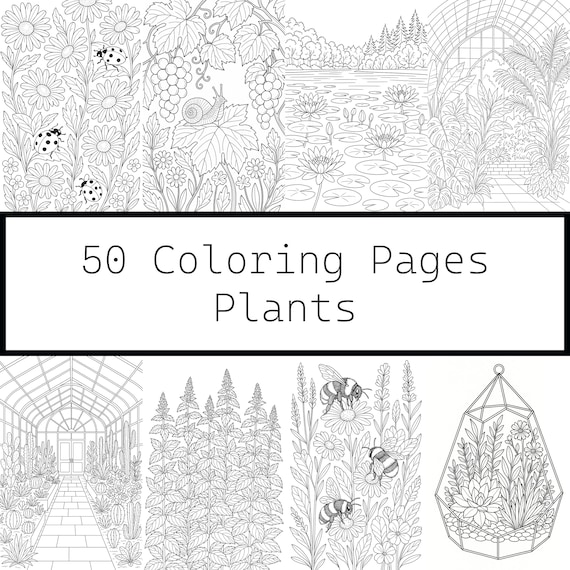 植物園の塗り絵：印刷可能な植物と花のデザイン 50 点（PDF