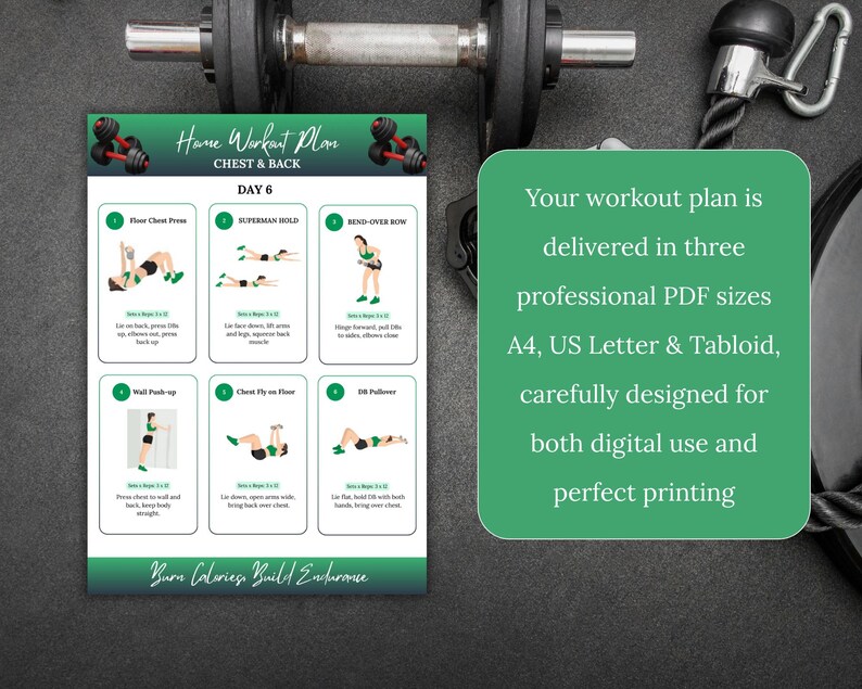 6-day Home Dumbbell Workout Plan: Full Body Strength (PDF Guide) Home Workout, Home Gym, Easy ...