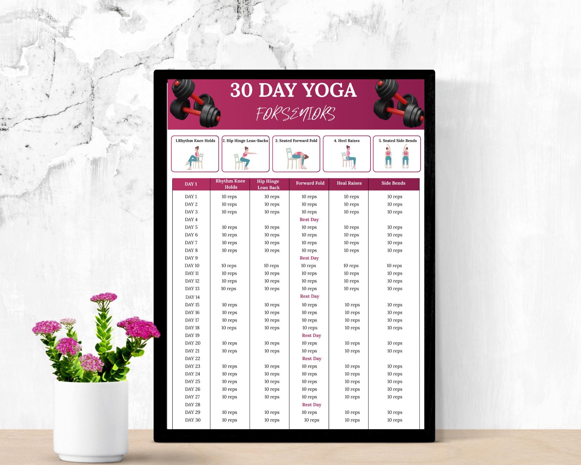 yoga chaise 30 jours seniors exercices chaise débutants - Canada