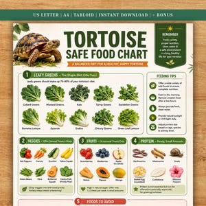 May include: A Tortoise Safe Food Chart infographic featuring a tortoise image, categories for leafy greens, veggies, fruits, and protein, with text labels for various food items, feeding tips, and a reminder section on a light background.