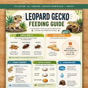 May include: A Leopard Gecko feeding guide infographic featuring illustrations of a gecko, mealworms, dubia roaches, crickets, and waxworms. The chart includes sections for staple insects, treat feeders, feeding frequency, dusting schedules, and hydration notes.