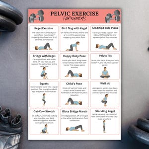 May include: A poster titled "Pelvic Exercise for Women" with exercise diagrams. Exercises include Kegel, Bird Dog, Modified Side Plank, Bridge with Kegel, Happy Baby Pose, Pelvic Tilt, Squats, Child's Pose, Wall Sit, Cat-Cow Stretch, Glute Bridge March, and Standing Kegel.
