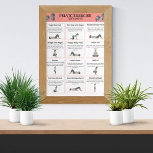 May include: A framed poster with the text "PELVIC EXERCISE FOR WOMEN'S" and illustrations of various exercises. The poster is in a wooden frame and is displayed on a white wall. Two small potted plants sit on a wooden shelf below.