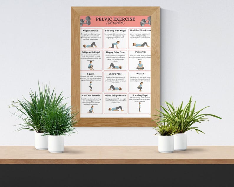 May include: A framed poster with the text "PELVIC EXERCISE FOR WOMEN'S" and illustrations of various exercises. The poster is in a wooden frame and is displayed on a white wall. Two small potted plants sit on a wooden shelf below.
