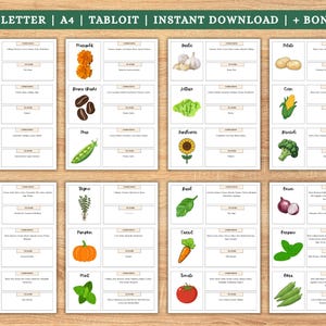 May include: A collection of illustrated vegetable and herb cards, including beets, rosemary, dill, marigolds, beans, peas, garlic, lettuce, sunflower, potato, corn, broccoli, cabbage, peppers, cucumbers, thyme, pumpkin, mint, basil, carrot, tomato, onions, oregano, and okra. The cards are labeled with the text "US LETTER | A4 | TABLOIT | INSTANT DOWNLOAD | + BONUS".