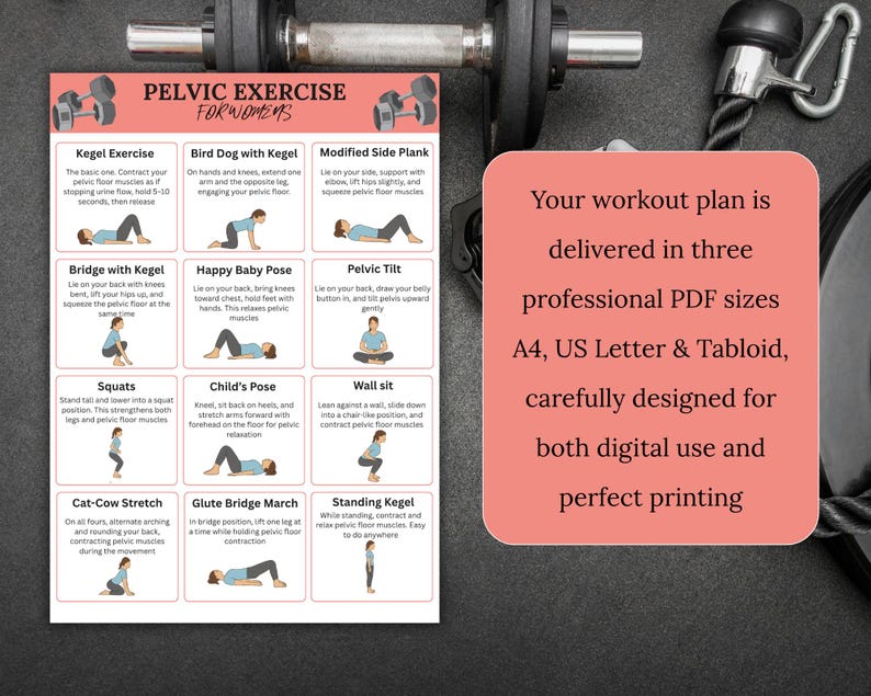 May include: A workout plan for pelvic exercises, featuring illustrations of various exercises like Kegel, Bird Dog, and Bridge with Kegel. The plan is designed for digital use and printing, available in A4, US Letter, and Tabloid sizes.