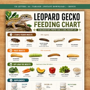 Puede incluir: Una infografía de tabla de alimentación para gecos leopardo con un geco manchado, listas de insectos básicos y premios como cucarachas, grillos y gusanos, además de verduras y suplementos. Texto: US LETTER, A4, TABLOID, INSTANT DOWNLOAD.