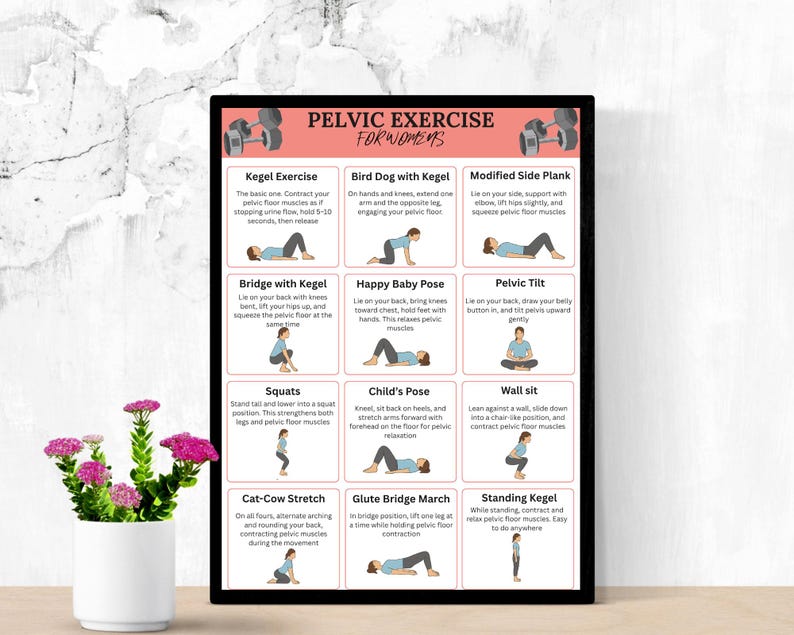May include: A framed poster with black border displays pelvic exercise instructions for women. The poster includes illustrations and descriptions of exercises like Kegel, Bird Dog, and Modified Side Plank. A white vase with pink flowers is in the foreground.