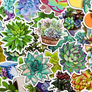 Pack of 50 Succulent Stickers, Cactus Stickers, Potted Plant Stickers, Waterproof Garden Stickers for Journal, Scrapbook, and DIY Crafts