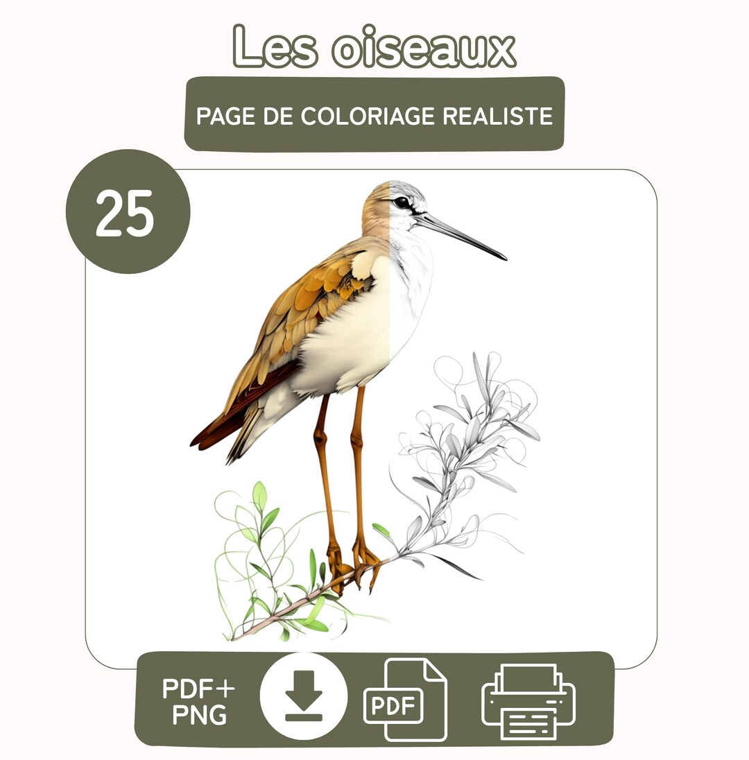 25 Realistic Bird Coloring Pages – Printable Designs for Adults and ...