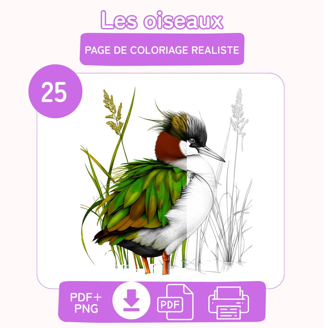 25 Realistic Bird Coloring Pages – Printable Designs for Adults and ...