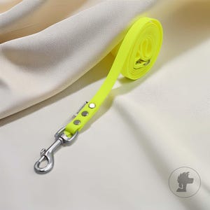Può includere: Un guinzaglio giallo neon per cani con moschettone e rivetti in metallo argentato. Il guinzaglio è arrotolato e poggia su una superficie bianca. Il guinzaglio è realizzato in materiale resistente.
