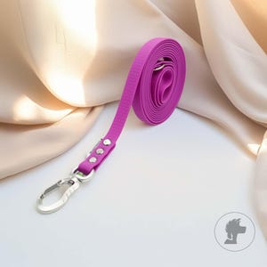 Op de afbeelding: Een opgerolde, levendige magenta hondenriem met een textuuroppervlak. De riem heeft een zilverkleurige sluiting en klinknagels, en een bijpassende magenta handgreep. Ontworpen voor huisdiereigenaren.