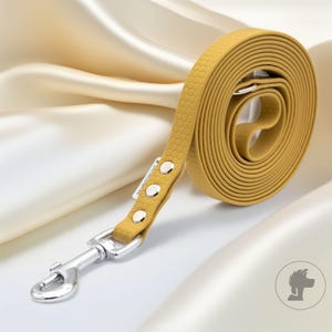 Può includere: Guinzaglio per cani giallo senape con motivo a nido d'ape strutturato. Il guinzaglio è arrotolato, con un moschettone e rivetti in metallo argentato. Il guinzaglio è realizzato in materiale resistente.