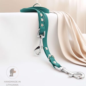 Correa para perros hexagonal ajustable, antideslizante, impermeable, multifunción / Ancho 16 mm / Largo 2,5 m