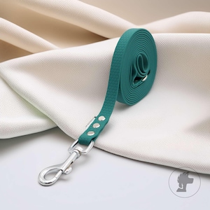 Pode incluir: Uma trela para cães verde-azulado enrolada, com um padrão texturizado e um fecho de metal prateado. A trela é feita de um material flexível e tem três rebites prateados perto do fecho. Projetado para donos de animais de estimação.