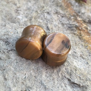 OOAK 1/2&quot; (13mm) Double Flared Petrified Wood Stone Plugs - Beautiful One of a Kind Plugs