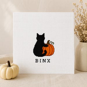 Peut inclure: Un tissu blanc carré pour point de croix représentant un chat noir assis à côté d'une citrouille orange avec une tige brune. Le nom BINX est brodé en lettres capitales noires sous le motif du chat et de la citrouille sur le tissu.