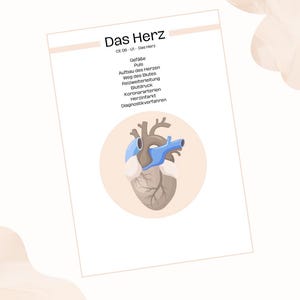 Puede incluir: Una ilustración médica de un corazón humano, con detalles anatómicos azules y marrones, se muestra sobre un fondo blanco. El texto "Das Herz" está en la parte superior, con términos médicos alemanes debajo. El corazón está dentro de un círculo melocotón claro.