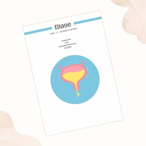Könnte beinhalten: Ein weißes Papier mit dem Wort "Blase" in blauer Schrift oben. Darunter steht "CE06 - UI - Die Blase & Katheter". Das Papier hat einen blauen Kreis mit einer rosa und gelben Illustration der Blase.