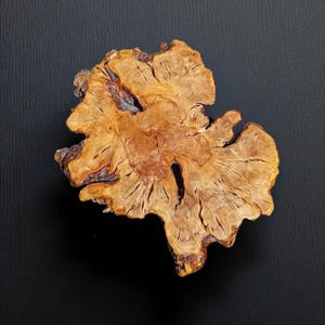 May include: A natural wooden slab with an irregular shape and a distinctive grain pattern. The wood is a warm, light brown with darker brown and black markings. The surface appears smooth and polished, highlighting the natural texture and organic design.