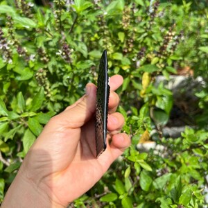 Puede incluir: Un objeto negro y rectangular con una superficie texturizada y un borde puntiagudo. El objeto se sostiene contra un fondo de follaje verde. La textura parece tener peque&ntilde;os agujeros espaciados.