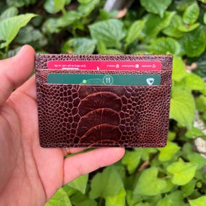 May include: A brown leather card holder with a textured pattern. The wallet contains several cards of different colours. The card holder is held in a hand against a backdrop of green foliage. The card holder is approximately 10 cm in length.