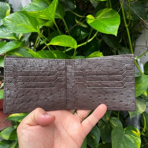May include: A dark brown bifold wallet featuring a textured ostrich leather finish with a distinct quill pattern. The interior displays multiple horizontal card slots on both the left and right sides, designed for organized storage of credit cards.
