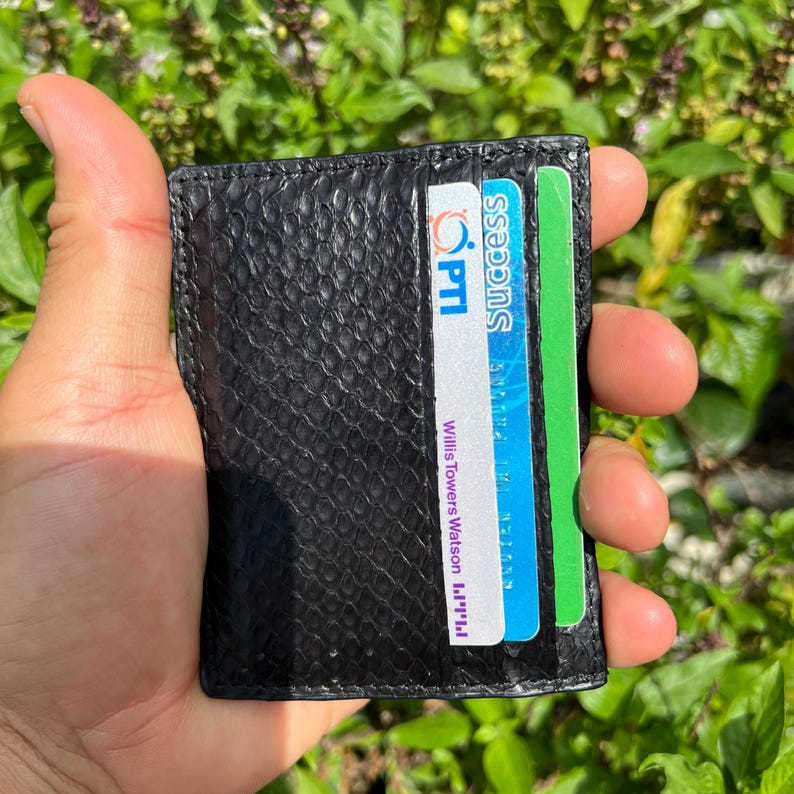 Puede incluir: Tarjetero de cuero negro con un patr&oacute;n de piel de serpiente texturizado. La cartera contiene varias tarjetas, incluida una con el texto "PTI" y "Success". El tarjetero se sostiene en una mano sobre un fondo de follaje verde.