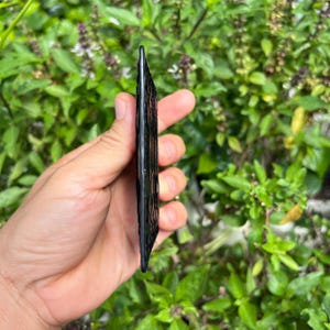 May include: A black, rectangular object with a textured surface is held in a hand. The object appears to be made of a dark material, possibly stone or a similar substance. The background is filled with green foliage.