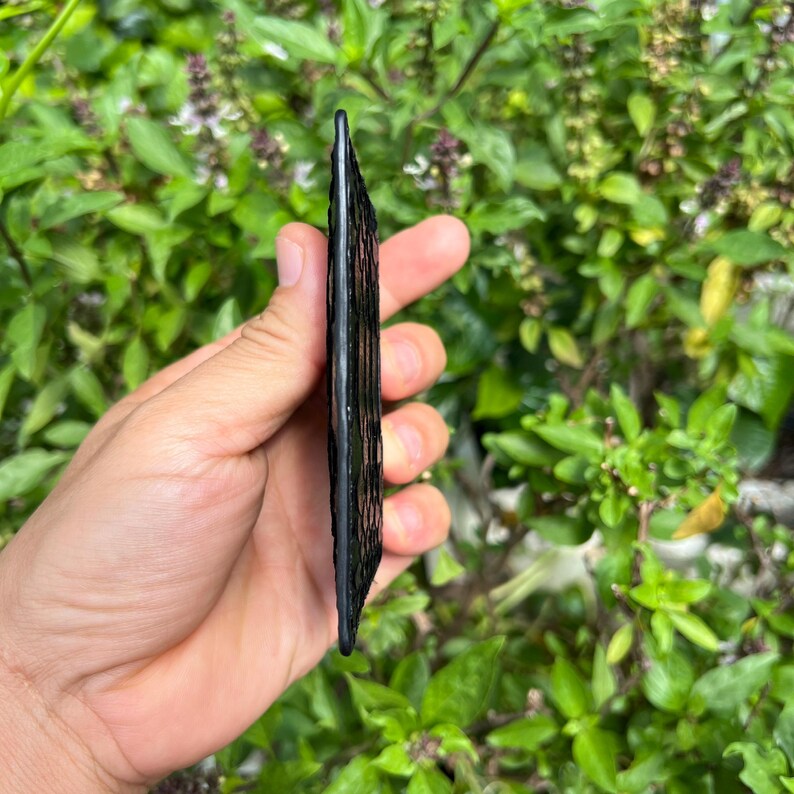 May include: A black, rectangular object with a textured surface is held in a hand. The object appears to be made of a dark material, possibly stone or a similar substance. The background is filled with green foliage.