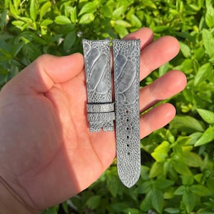 Puede incluir: Correas de reloj grises con un patrón de cuero de avestruz texturizado. Las correas tienen una hebilla y múltiples agujeros para ajustar. El fondo es una vista borrosa de follaje verde.