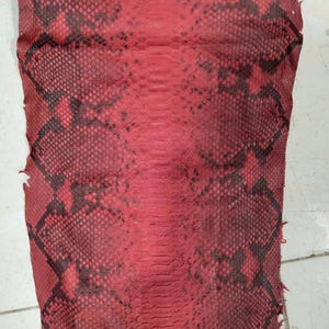 May include: A rectangular piece of red snakeskin leather featuring a distinct scale pattern with dark black markings. The hide displays a central row of larger, elongated scales flanked by smaller, textured scales across the entire surface area.