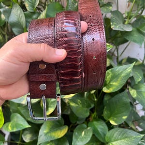 Puede incluir: Un cinturón de cuero marrón con una superficie texturizada y una hebilla plateada. El cinturón está hecho de un material marrón oscuro y la hebilla es de color plateado brillante. El cinturón se muestra sobre un fondo de follaje verde.