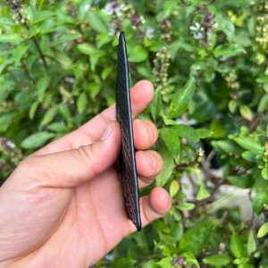 Puede incluir: Un objeto rectangular negro con una superficie texturizada se sostiene en una mano. El objeto parece delgado y tiene un tono marr&oacute;n oscuro en sus bordes. El fondo presenta follaje verde.