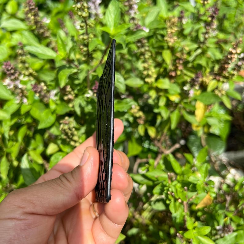 Genuine Python Leather Card Holder, Minimalist Bifold Wallet, Black 4-Slot Card Case image 9