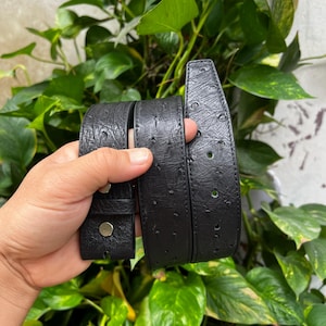 Op de afbeelding: Een zwarte riem met een gestructureerd struisvogellederen patroon en een matte afwerking. De riem bevat een reeks ronde verstelgaatjes en een zilverkleurige metalen drukknoop aan het uiteinde van de band, met een opvallend veerpatroon.
