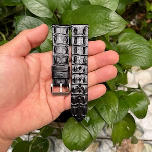 Puede incluir: Correa de reloj negra con textura de piel de cocodrilo. La correa tiene una hebilla plateada y se muestra sobre un fondo de hojas verdes. La correa del reloj está hecha de un material duradero.