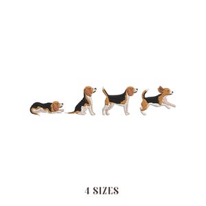 May include: An embroidered design featuring a beagle in four poses: lying down, sitting, standing, and running. The beagle has a brown head, black back, and white underbelly. The text "4 SIZES" is at the bottom.